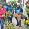 Alles fertig fürs große Binden: Wie in vielen Orten der Region werden auch in Osterberg die Buschen für die Kräuterweihe gemeinsam gebunden. Von links: Elisabeth Kehrer, Resi Högg, Inge Magel und Waltraud Bauer.