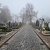 Die Gebühren für die Friedhofskosten sollen in Neuburg angehoben werden. Auch die Grabplatzgebühren am Alten Friedhof. 