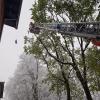 Im ganzen Landkreis kümmerten sich Feuerwehrleute gestern um die Folgen von Schneebruch. Allein die Günzburger Wehr hatte zehn solcher Einsätze. 	 	