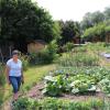 Lucia Martin, erste Vorsitzende des Dasinger Gartenbauvereins, bebaut auch einen Abschnitt der gepachteten Krautbeet-Parzelle.