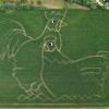 Johann Tyroller aus Radersdorf baut seit 2003 jedes Jahr ein 2,41 Hektar großes Maislabyrinth.