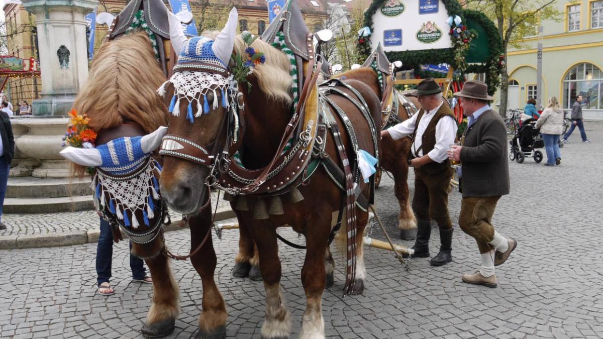 Ingolstadt: Eishockey oder Bierfest: Das ist am Wochenende in und um