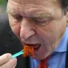Er machte Currywurst mit Pommes als "Kanzlerteller" bekannt - Altkanzler Gerhard Schröder punktet als Wahlkämpfer.  