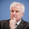 Horst Seehofer muss als Innenminister einen Berg an Aufgaben bewältigen.