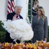 Donald Trump begnadigt den Truthahn «Corn» (Mais). Der amtierende US-Präsident hat bei der traditionellen Zeremonie vor dem Thanksgiving-Fest zwei Truthähne vor dem Tod bewahrt.