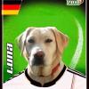 Das ist Labrador Luna aus Thannhausen. Mit ihr im Sturm wäre der Titel kein Problem, schreibt Bernd Hierse.


  
