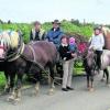 Gemeinsam unterwegs (von links): die Pferde Max und Maren sowie Familie Häusler - Josef, Günther und Centa, Clarissa sitzt auf Pony Lara, Natalie auf Marco und Jens auf Pony Leo. Foto: Viktoria Spies