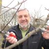 Beim Baumschnitt gibt es einiges, was man beachten sollte. Das weiß Josef Stocker vom Landratsamt Günzburg. Dort arbeitet er als Kreisfachberater für Gartenkultur und Landschaftspflege. 