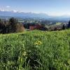 Wandern im Auerbergland: Auf der Wanderung gibt es viel zu entdecken.