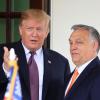 Zwei, die sich verstehen: Donald Trump und Viktor Orban.