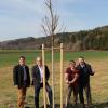 Setzten die Pflanzaktion des Landschaftspflegeverbandes in Wehringen fort: Konrad Dobler, Manfred Nerlinger, Waltraud Egger und Werner Burkhart (von links). 	