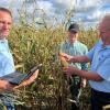 Gemeinsam mit den Hagelschätzern Hans-Jürgen Liepold und Georg Geiger (von links) zeigt Landwirtschaftsmeister Peter Sedlmeir, wie der Hagel im August den Mais beschädigt hat.