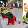 Während eine Ausstellerin auf der Heimtiermesse Interzoo in Nürnberg arbeitete, verendeten in ihrem Auto zwei Hunde.