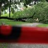 Ein Baum stürzte im Juli 2021 auf einen Spielplatz in Oberhausen, ein 22 Monate altes Kind starb. Nun wirft die Staatsanwaltschaft einem Baumkontrolleur fahrlässige Tötung vor.