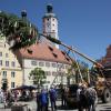 Ein Bild aus „guten alten Maibaum-Tagen“ in Wemding. Heuer wird es wegen der Pandemie nichts mit dem Brauch des Aufstellens.  	