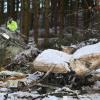 Drei Menschen kamen bei dem Flugzeugabsturz ums Leben.