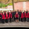 Die Chorgemeinschaft bei einem Konzert im Neu-Ulmer Glacis-Park im Jahr 2019.
