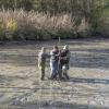 In Zusammenarbeit mit der Feuerwehr Landsberg hat die Fischergilde Barbara die Fische aus den Weiher am Waldfriedhof geborgen.