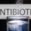 Die Mikrobe des Jahres, Streptomyces, liefert einen wichtigen Stoff zur Herstellung von Antibiotika.