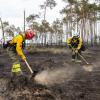 Zwei Feuerwehrfrauen in Brandenburg bearbeiten den Waldboden. Müssen wir uns künftig an solche Bilder gewöhnen oder gibt es Wege, wie wir unsere Wälder besser schützen können?
