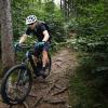 Viele Mountainbiker lieben es, mit ihrem Gefährt schmale und herausfordernde Pfade mitten im Wald zu befahren.