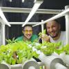Robert Fazekas (rechts) und Markus Bauer von Hydro Grün bauen in einer Lagerhalle in Neuburg Salat an. Die hydroponische Anbaumethode macht eine Ernte das ganze Jahr über möglich. 
