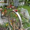 Wohin mit ausrangierten Fahrrädern? Die Türkheimerin Gusti Wachter hatte da eine besondere Idee: sie errichtete an einer Gartenseite einen Zaun aus alten Fahrrädern. Nicht nur als Dekoration, sondern auch ein gutes Beispiel für Recycling, mit einem Erlebnis in Vietnam als Hintergrund. 
