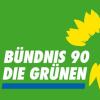 Die Grünen wollen in Lauingen einen Ortsverband gründen.