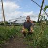 Das Gemüse von Christian Bösch vom Raschbrunnenhof in Haunsheim ist nach dem Unwetter hinüber. Der Folientunnel ist zerstört, die Tomaten und Paprikas verhagelt. Ähnlich sieht es auf dem restlichen Feld aus.