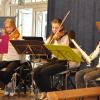 An der Antonius-von-Steichele-Grundschule Mertingen spielt die Musikausbildung eine große Rolle. Das wurde bei der Jubiläumsfeier wieder deutlich.  	