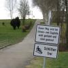 Der Friedhofweg in Schießen ist bei Schlittenfahrern beliebt. Der Roggenburger Gemeinderat will dem keinen Riegel vorschieben – und hat einen Antrag auf Schließung der Strecke abgelehnt.  	