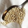 Mehr Protein geht fast nicht: Quinoa, auch "Inkareis" genannt, schmeckt nussig und kann roh oder gekocht verzehrt werden.