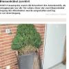 Screenshot: Die Münstersche Zeitung berichtete in ihrem Online-Auftritt von einem kaputten Blumenkübel.