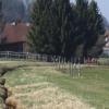 Etwa drei Kilometer lang ist der Himmel- beziehungsweise Hummelbach, der bei Schäfmoos entspringt und nach Leeder fließt und nachdem jetzt eine Straße im neuen Wohngebiet benannt wird.