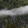 04.05.2020, Bayern, Ettal: Nebelschwaden ziehen über den sattgrünen Wald an einem Berghang entlang. Foto: Angelika Warmuth/dpa +++ dpa-Bildfunk +++ | Verwendung weltweit