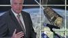 Der bayerische Ministerpräsident Horst Seehofer (CSU) spricht bei der Eröffnung des neu errichteten DLR-Erdbeobachtungszentrum EOC Service Lab (Earth Oberservation Center) in Oberpfaffenhofen (Oberbayern).