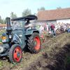 Auf dem Kartoffelfest dürfen sich die Besucher ihre eigenen Kartoffeln klauben und mit nach Hause nehmen.  	