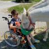 Niklas erster Weg nach seinem Krankenhausaufenthalt führte ihn zu Pferd Lilly.