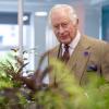 König Charles III. feiert an diesem Dienstag seinen 75. Geburtstag.