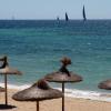 An einem Strand von Mallorca wurde ein Blauhai gesichtet.