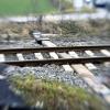 Wegen einer Vermisstensuche wurde am Samstagmorgen auf der Bahnlinie zwischen Kaufering und Buchloe ein Schienenersatzverkehr eingerichtet.