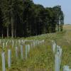 Die Stadt Weißenhorn will bestehende Waldflächen vergrößern oder miteinander verbinden. Das Konzept Klimawald sieht vor, dass sich Bürger, Firmen und andere Einrichtungen am Aufbau der neuen Wälder beteiligen.  	