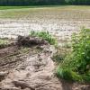 Um die Auswirkungen von Starkregenereignissen – die es in Zukunft laut Experten immer häufiger geben wird – möglichst gering zu halten, will die Initiative „Bodenständig“ gemeinsam mit Landwirten und Grundbesitzern Lösungen finden.  	
