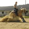 Der Stopp beim Westernreiten ist legendär. Annika Schlüter und ihr Pferd Barbie meistern ihn bilderbuchreif. 	