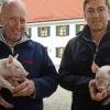 Bei Schweinezüchter Vater und Sohn Josef Gelb in Steinach dürfen die Ferkel noch auf Stroh groß werden.