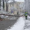 Am Stadtberg in Neuburg ist ein Baum wegen des schweren Schnees auf die Fahrbahn gestürzt. 