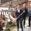 85 Kühe müssen versorgt werden. Steffi Baur demonstriert ihrem Lehrherrn Rainer Mayer (links) und Markus Hofmann, dass Tierpflege kein Fremdwort für sie ist.