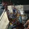 Plastik aus dem Meer, eingesammelt in einem Netz.