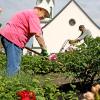 Gartenarbeit hält fit und tut der Seele gut. Damit aber der Rücken nicht in Mitleidenschaft gezogen wird, gilt es einiges zu beachten. So sollte man möglichst unverkrampft und aufrecht arbeiten und seine Tätigkeiten in möglichst kleinen Intervallen wechseln. 