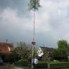 Isabella Götz (Unterglauheim) hat sich über den Baum von Daniel Magosch (Schwenningen) gefreut.